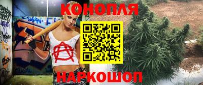гидра Бийск