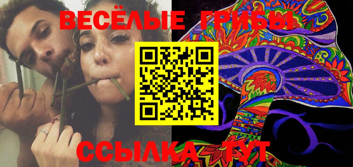 Галлюциногенные грибы GOLDEN TEACHER Кингисепп