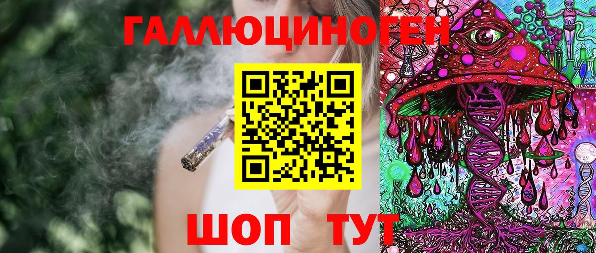 Кингисепп  Псилоцибиновые грибы GOLDEN TEACHER  Галлюциногенные грибы мицелий  сколько стоит  Вход с VPN 