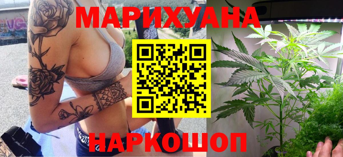 Шишки марихуана сатива Кингисепп